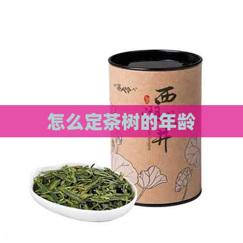 怎么定茶树的年龄