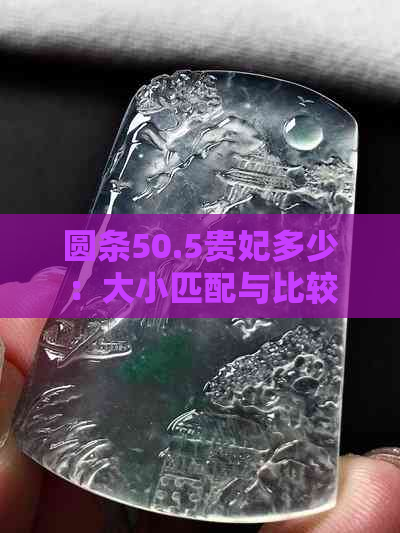 圆条50.5贵妃多少：大小匹配与比较分析