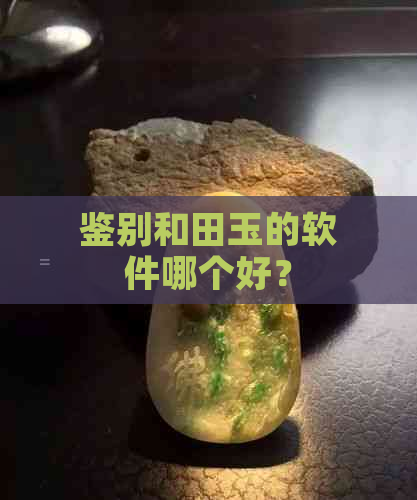 鉴别和田玉的软件哪个好？