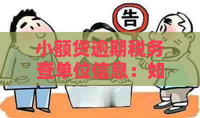 小额贷逾期税务查单位信息：如何查询？