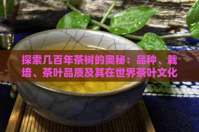 探索几百年茶树的奥秘：品种、栽培、茶叶品质及其在世界茶叶文化中的地位