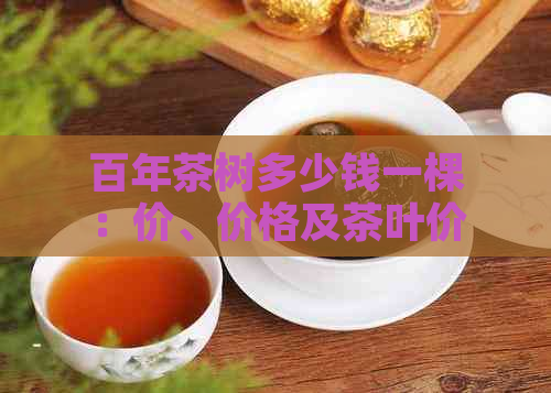 百年茶树多少钱一棵：价、价格及茶叶价值全解析