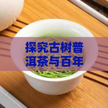 探究古树普洱茶与百年茶树的品质与功效