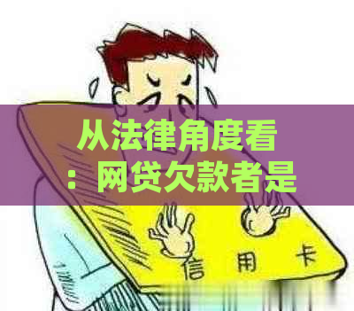 从法律角度看：网贷欠款者是否可以寻求援助，有哪些可行的解决方案？