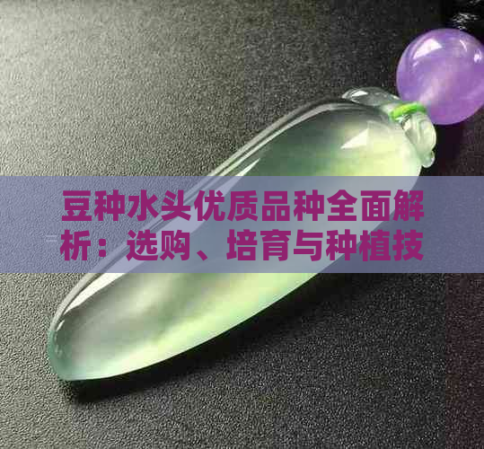 豆种水头优质品种全面解析：选购、培育与种植技巧一文搞定