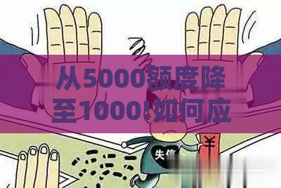 从5000额度降至1000!如何应对借呗额度变化及相关解决方案