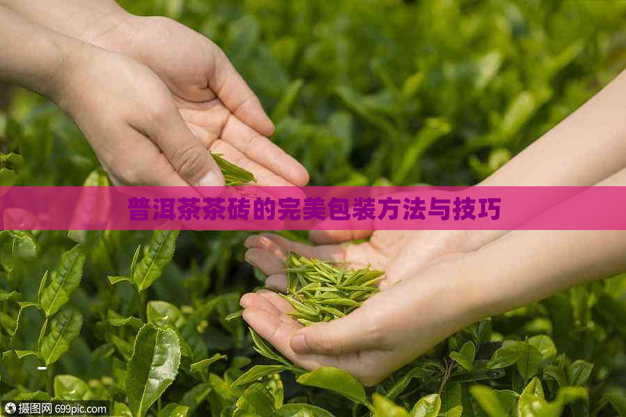 普洱茶茶砖的完美包装方法与技巧