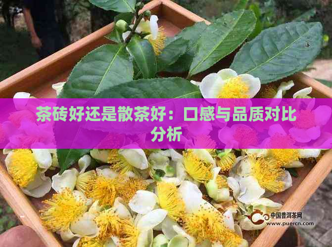 茶砖好还是散茶好：口感与品质对比分析