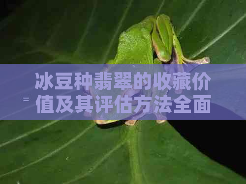 冰豆种翡翠的收藏价值及其评估方法全面解析