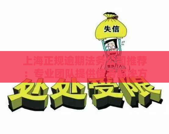 上海正规逾期法务公司推荐：专业团队提供债务解决方案及咨询服务