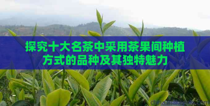 探究十大名茶中采用茶果间种植方式的品种及其独特魅力