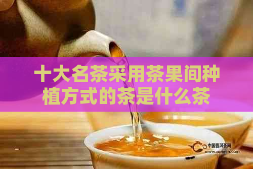 十大名茶采用茶果间种植方式的茶是什么茶？