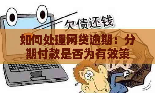 如何处理网贷逾期：分期付款是否为有效策略？