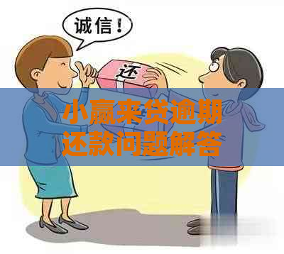 小赢来贷逾期还款问题解答：分期还是一次性还清？