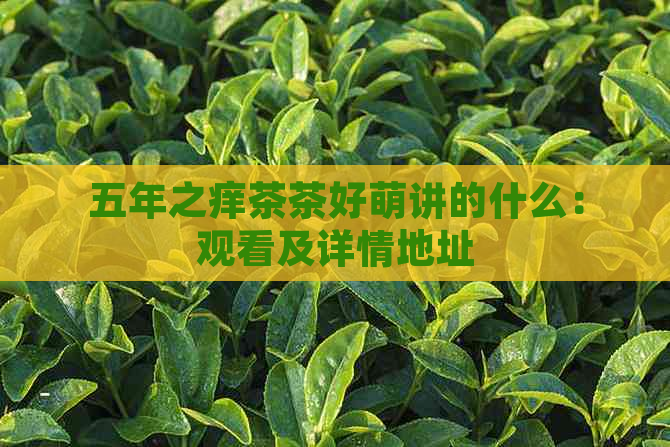 五年之痒茶茶好萌讲的什么：观看及详情地址