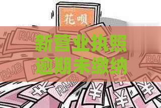 新营业执照逾期未缴纳会怎么样？如何处理逾期费用及相关问题？