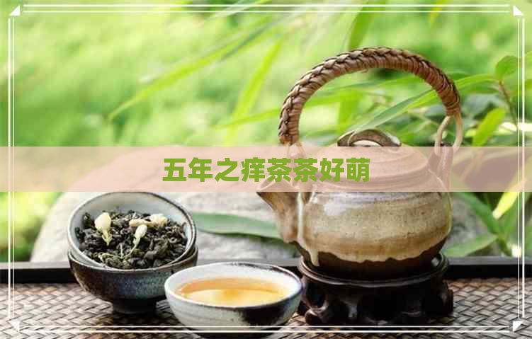 五年之痒茶茶好萌