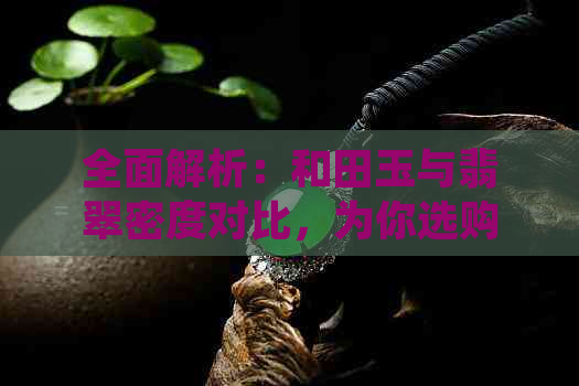 全面解析：和田玉与翡翠密度对比，为你选购宝石提供参考