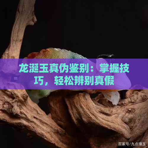 龙涎玉真伪鉴别：掌握技巧，轻松辨别真假