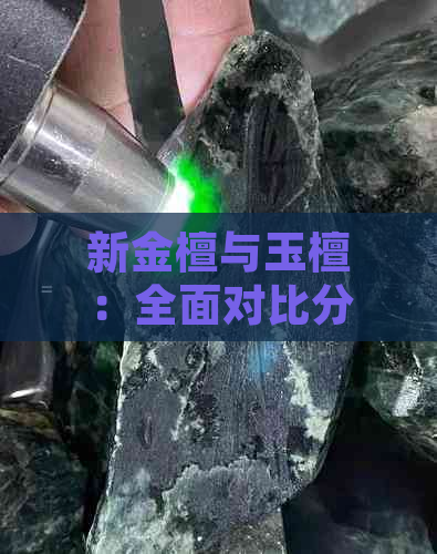 新金檀与玉檀：全面对比分析，帮助您做出更佳选择