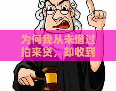 为何我从未借过拍来贷，却收到逾期还款警告？解决方法在这里