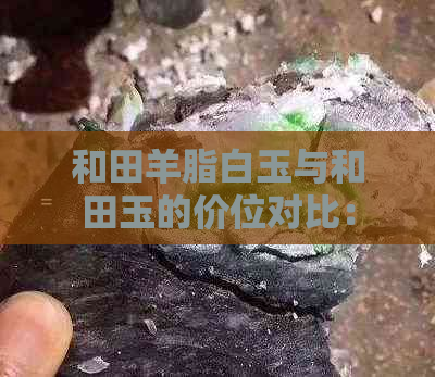 和田羊脂白玉与和田玉的价位对比：哪个更昂贵？