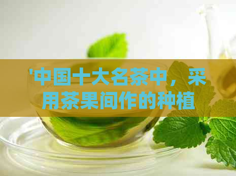 '中国十大名茶中，采用茶果间作的种植方式——十大名茶茶果间作'