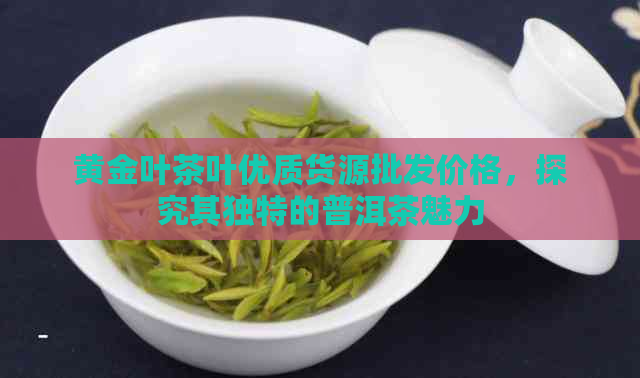 黄金叶茶叶优质货源批发价格，探究其独特的普洱茶魅力