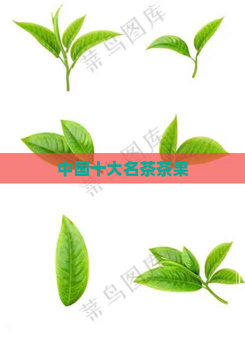 中国十大名茶茶果