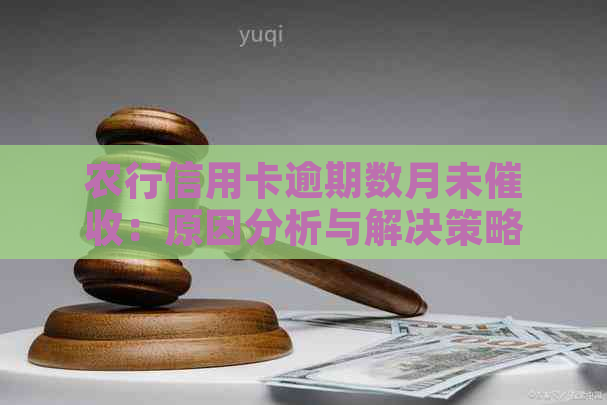 农行信用卡逾期数月未：原因分析与解决策略