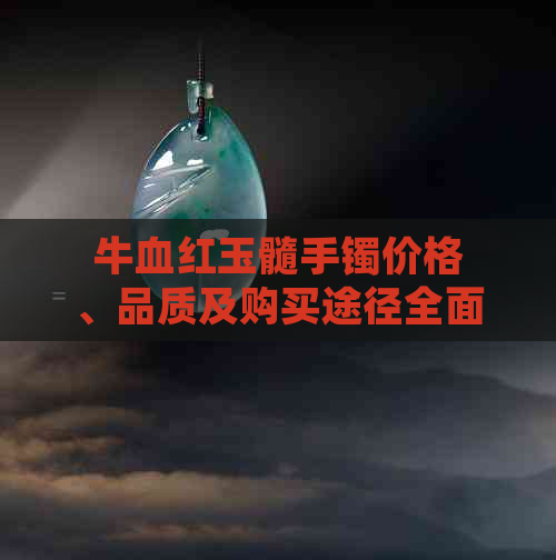 牛血红玉髓手镯价格、品质及购买途径全面解析