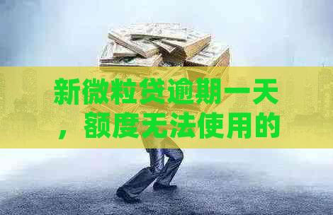 新微粒贷逾期一天，额度无法使用的原因及解决方法全解析