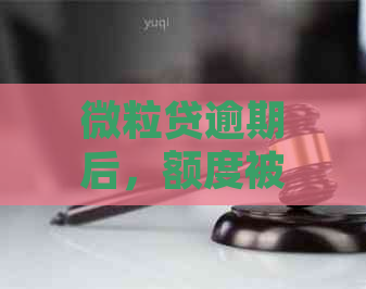 微粒贷逾期后，额度被冻结，1天内无法再次借款的含义及相关解释