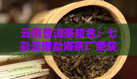 云南普洱茶知名：七彩云南勐海茶厂荣获十大排行老字号称号