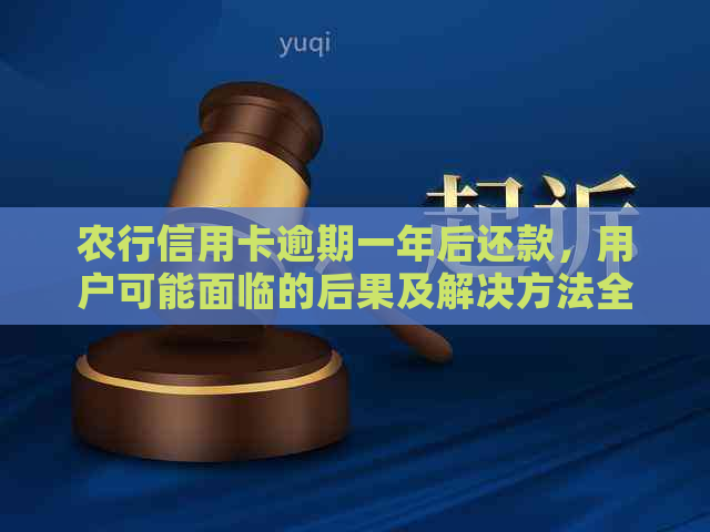 农行信用卡逾期一年后还款，用户可能面临的后果及解决方法全面解析