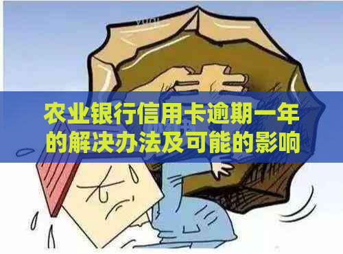 农业银行信用卡逾期一年的解决办法及可能的影响