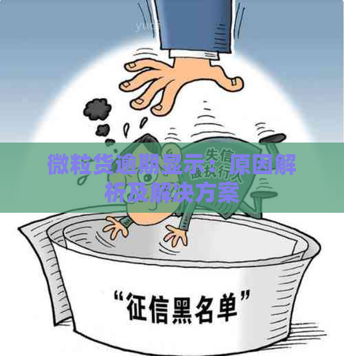 微粒货逾期显示：原因解析及解决方案