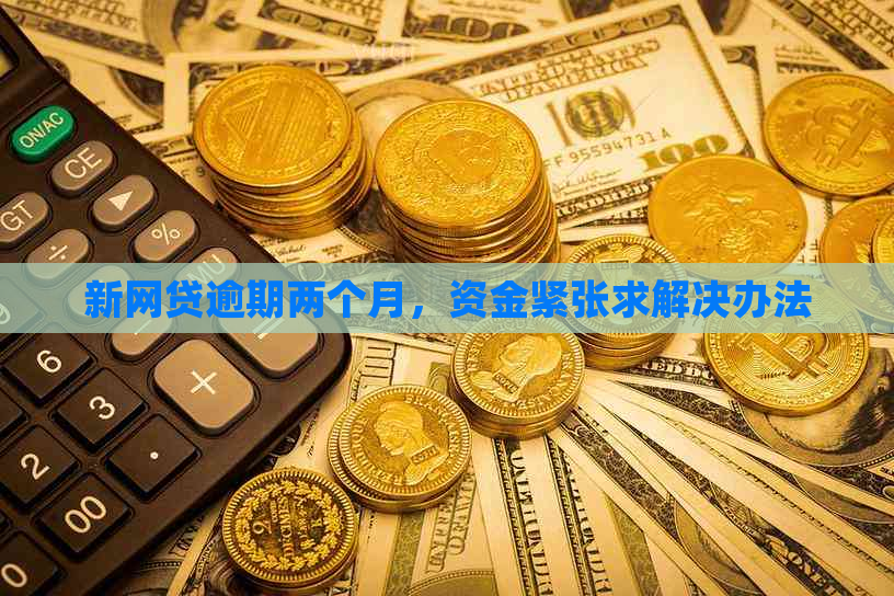 新网贷逾期两个月，资金紧张求解决办法