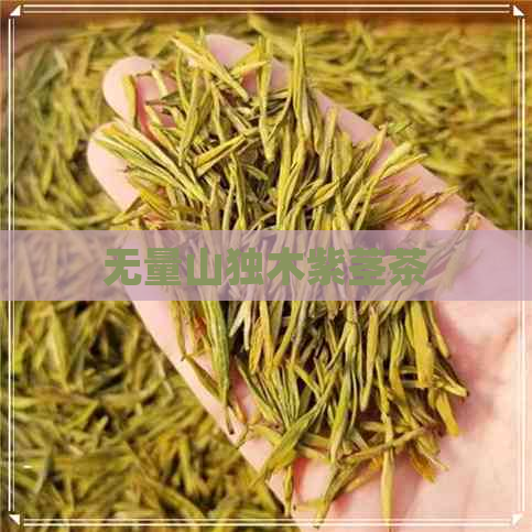 无量山独木紫茎茶