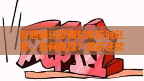 新遇到还款期却未按时还款，如何处理？提前还款申请后忘记执行。