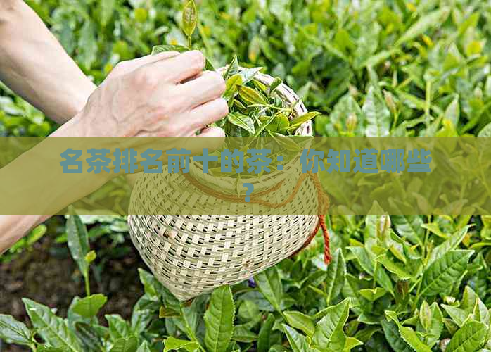 名茶排名前十的茶：你知道哪些？