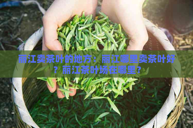 丽江卖茶叶的地方：丽江哪里卖茶叶好？丽江茶叶场在哪里？