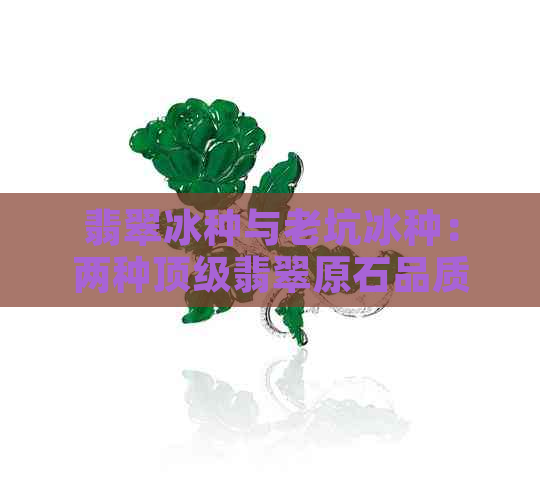 翡翠冰种与老坑冰种：两种顶级翡翠原石品质解析