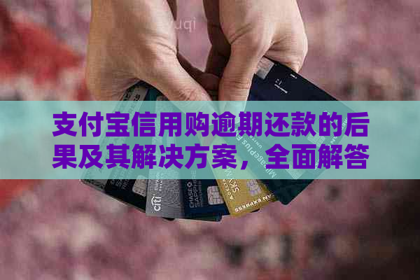 支付宝信用购逾期还款的后果及其解决方案，全面解答您的疑虑