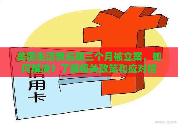 美团生活费逾期三个月被立案，如何解决？了解相关政策和应对措