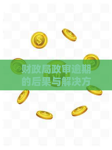 财政局政审逾期的后果与解决方法：能否顺利通过政审？