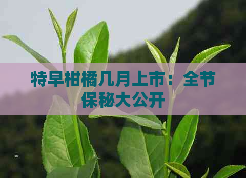 特早柑橘几月上市：全节保秘大公开