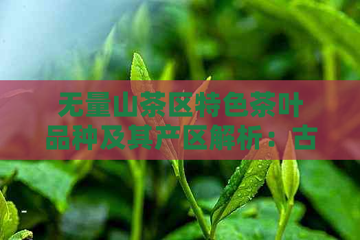 无量山茶区特色茶叶品种及其产区解析：古树普洱茶的魅力口感与价格