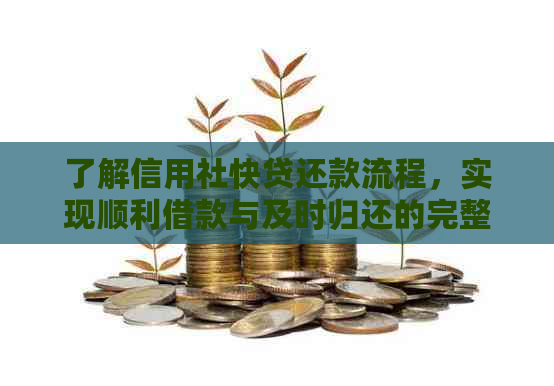 了解信用社快贷还款流程，实现顺利借款与及时归还的完整指南