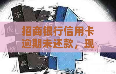 招商银行信用卡逾期未还款，现已进入停卡审核阶